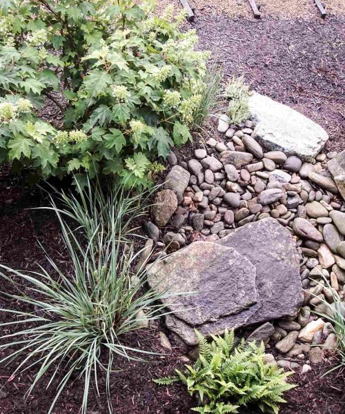 rain-garden-2026-01-05-04-48-57-utc_11zon